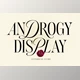 Download Androgy Display
