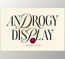 Download Androgy Display