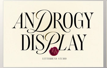 Download Androgy <span class='badge badge-warning'>Display</span>