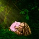 Download Sweet Soul Studio: Sundrenched greens