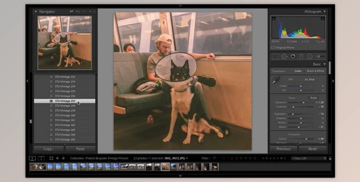 Download ProLost Vintage Preset