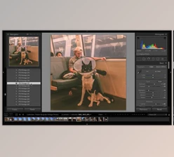 Download ProLost Vintage Preset