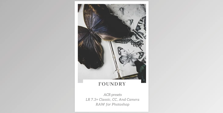 Download 2 Lil Owls: Foundry LR presets