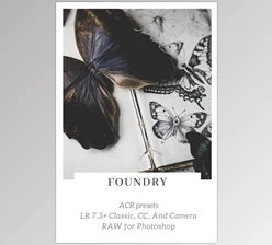 Download 2 Lil Owls: Foundry LR presets