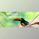 Aescripts - Download StyleX v1.0.3 (Win, Mac-v1.0.2.2)