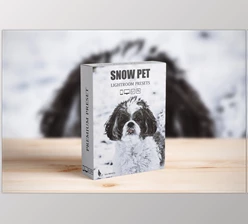 Download Snow Pet Lightroom Presets CreativeMarket - 6729455