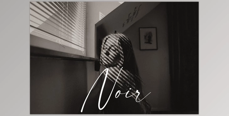 Download Noir B&W Preset Pack — KB