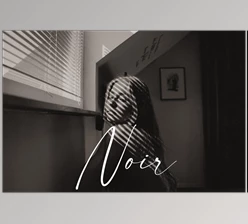 Download Noir B&W Preset Pack — KB