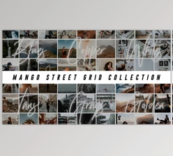 Download The Grid Collection - Mango Street Presets