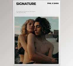 Download Phil Chester – Signature Collection Presets
