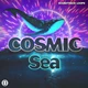 Download Soundtrack Loops Cosmic Sea WAV
