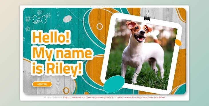 Download My Lovely Pet (Videohive 37910354) - AE Project