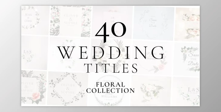 Download Wedding Titles (Videohive 37071913) - AE Project