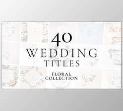 Download Wedding Titles (Videohive 37071913) - AE Project