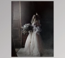 Download TRUE ROMANCE by Muse & Mirror - LEGACY PRESETS