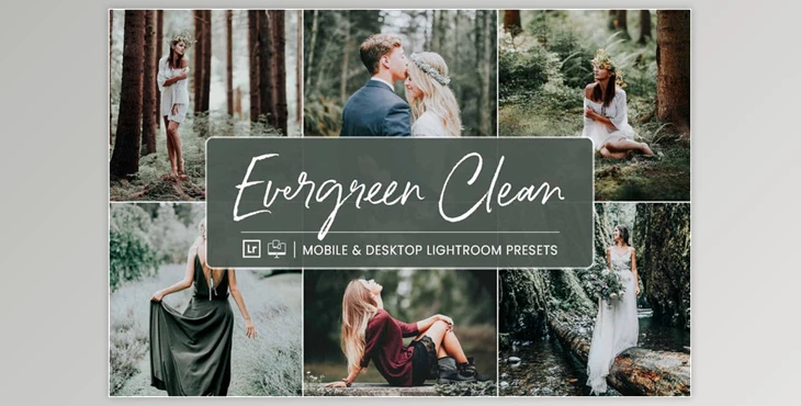 Download NesPresets – Evergreen Clean