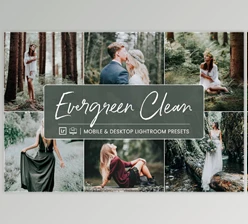 Download NesPresets – Evergreen Clean