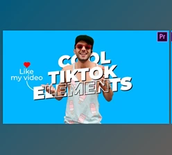Download Cool TikTok Elements (Videohive 37943169) - PR Project
