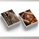 Download Wedding collection combo 70 presets