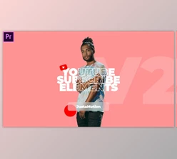 Download YouTube Subscribe Elements v2 (VideoHive 37658945) - PR Project