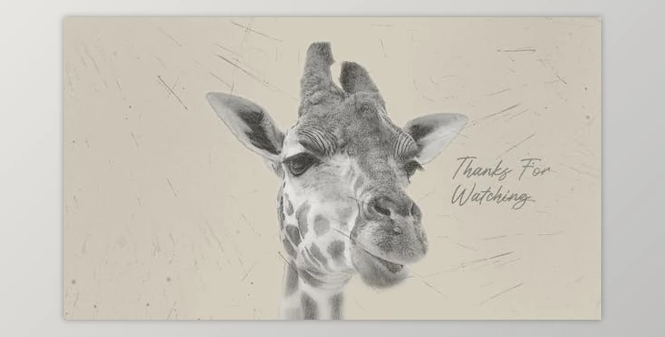 Download Paint Face Opener (Videohive 38020897) - AE Project