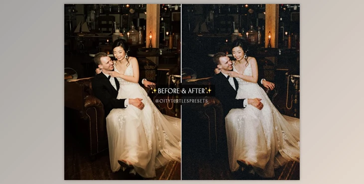 Download INSTANT FILM Retro Grain Lightroom Presets