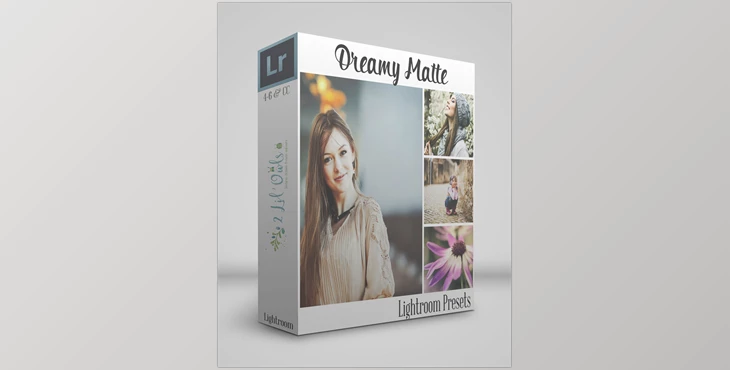 Download 2lilowls – Dreamy Matte Lightroom Presets