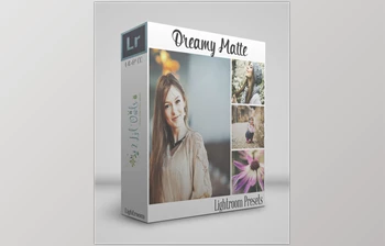 Download 2lilowls – Dreamy <span class='badge badge-warning'>Matte</span> Lightroom Presets