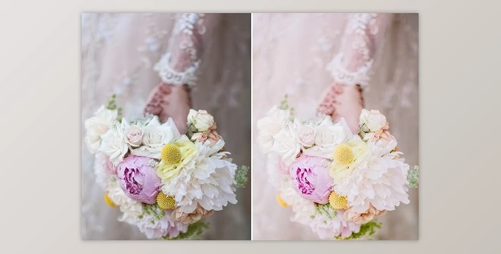 Download Rebecca Lily Pro Sets I-III Lightroom Presets Collection