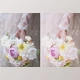 Download Rebecca Lily Pro Presets I-III