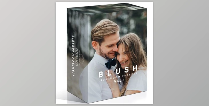 Download Vicky Baumann Lightroom Presets Collection