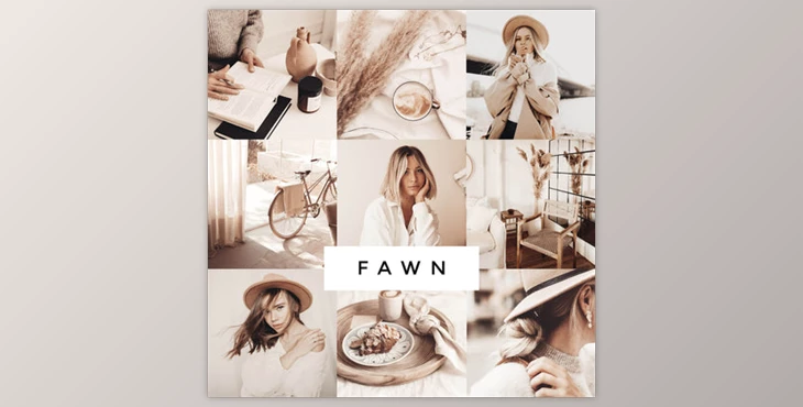 Download Loox – Fawn Lightroom Presets