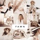 Download Loox – Fawn Lightroom Presets