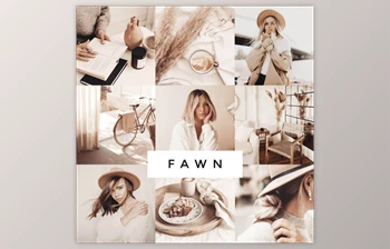 Download Loox – Fawn Lightroom <span class='badge badge-warning'>Presets</span>