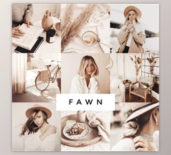 Download Loox – Fawn Lightroom Presets
