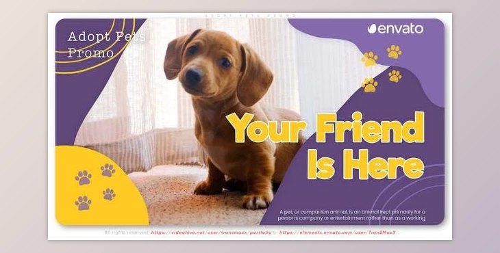 Download Adopt Pets Promo (Videohive 38239208) - AE Project