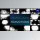 Download Organic Liquid Transitions for Premiere Pro (VideoHive 37848581)