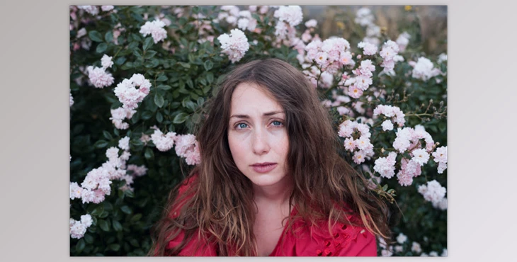 Download The Classic Presets – Classic CineStock Profiles for Lightroom