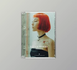 Download +CINE JAPAN MOOD PRESETS