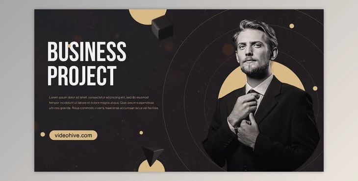 Download Business Promo Slideshow (Videohive 38004538) - AE Project