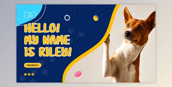 Download Pet Shop Promo (Videohive 38134741) - AE Project