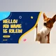 Download Pet Shop Promo (Videohive 38134741) - AE Project