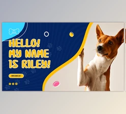 Download Pet Shop Promo (Videohive 38134741) - AE Project