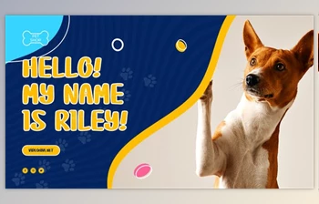 Download <span class='badge badge-warning'>Pet</span> Shop Promo (Videohive 38134741) - AE Project