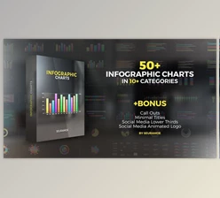 Download Infographic Charts (Videohive 23134724) - AE Project
