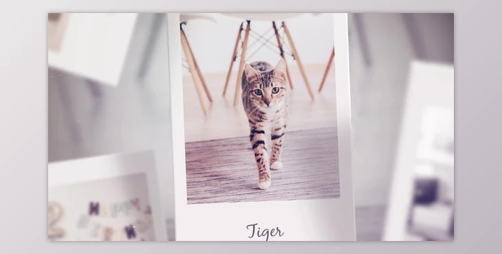 Download Photo Slideshow (Videohive 37086094) - AE Project