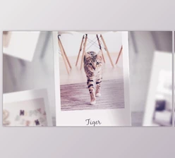 Download Photo Slideshow (Videohive 37086094) - AE Project