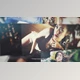 Download Photo Slideshow Wall (Videohive 38515821) - AE Project