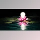 Download Creating Persuasive Imagery Through Photo-manipulation in Photoshop