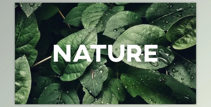 Download Typography Slides (Videohive 37691305) - AE Project